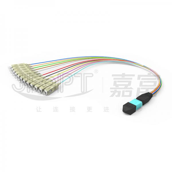 Quality 0.3m Multimode OM3 MPO Breakout Cable MPO / PC - SC / APC Low Loss 0.9mm Branch Patch Cord for sale