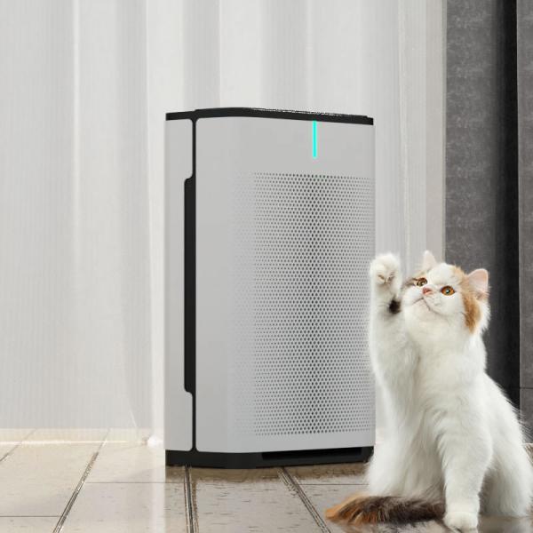 Quality Electrical Hepa Filter WiFi Control Pet Air Purifier For Allergies And Pets for sale