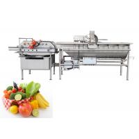 China Tomato Fruit And Vegetable Washer 4.8kw 1.5t/hr 4200X1300X1400mm factory