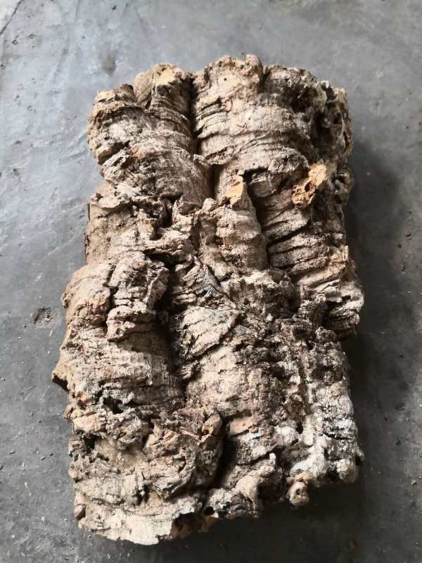 China Factory Wholesale 3~4cm thickness Virgin Cork Bark Perfect for Dispalying Air Plants, Bromeliads &amp; Orchids factory