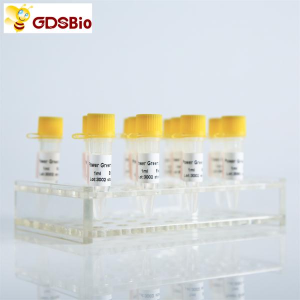 Quality GDSBio HS Probe QPCR Real Time PCR Mix P2201 P2202 for sale