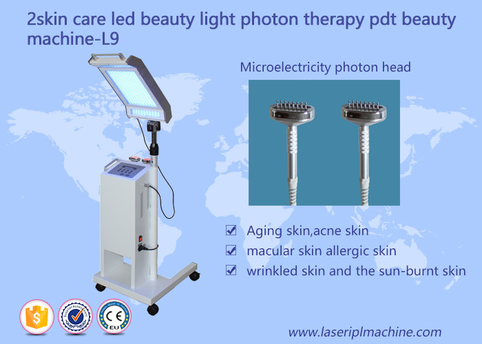 China 10HZ 415mm Facial Lifting PDT LED Light Therapy Machine factory