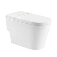 Quality Knob Control Ceramic Modern Smart Toilet , Siphonic jet Intelligent Toilet Bowl for sale
