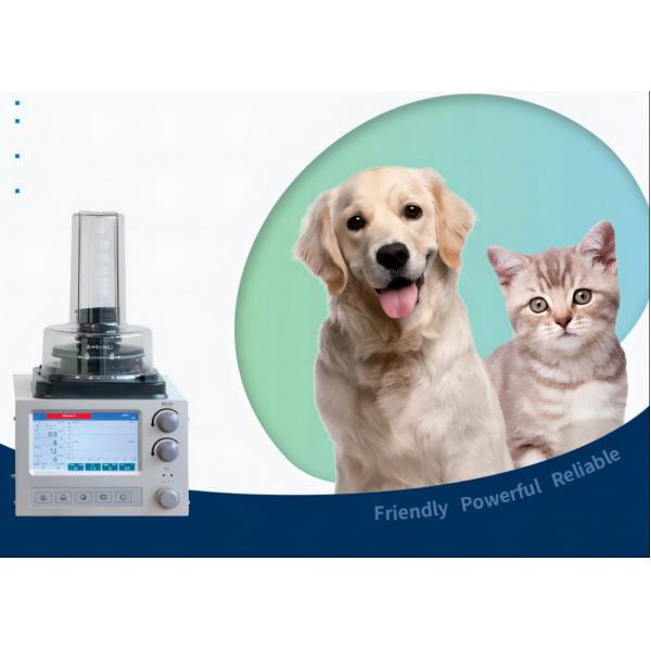 Quality DH6B Veterinary Anesthesia Ventilator With 3 Ventilation Modes IPPV A/C SIMV for sale