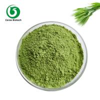 China Plant Herb Extract Barley Grass Powder Natural Ingredient 100 - 200mesh factory