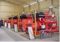 China Natural gas generator of MESO-GUASCOR(300KW, length:2942mm, width:1369mm.high:2065mm) factory