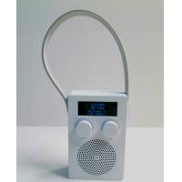 China FM/DAB Radio with water protection factory