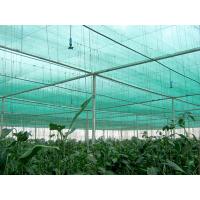 Quality Hdpe Sun Anti Uv Agriculture Shade Net For Green House To Protect Plants for sale