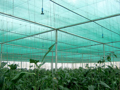 Quality Hdpe Sun Anti Uv Agriculture Shade Net For Green House To Protect Plants for sale