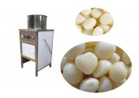 China 380 V Garlic Processing Machine factory