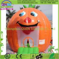 China Hot Sale Disney Park Theme Inflatable Bouncer Giant Inflatable for sale