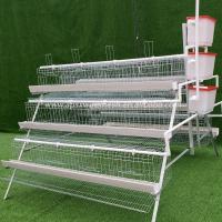 China Automatic Large Capacity Layer Chicken Cage A Type High Corrosion factory