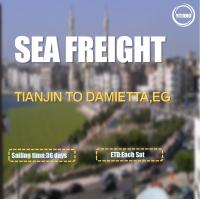 Quality FOB CIF International Sea Freight Logistics From Tianjin To Damietta Egypt for sale