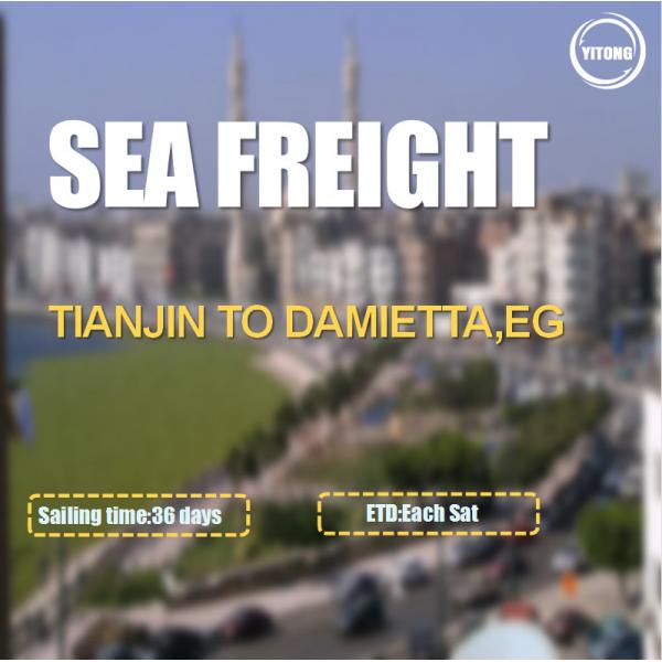 Quality FOB CIF International Sea Freight Logistics From Tianjin To Damietta Egypt for sale