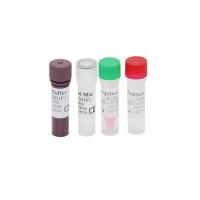 China HBV HCV HIV-1 Genome RT PCR Test Kit High Sensitivity 30 IU/ML factory