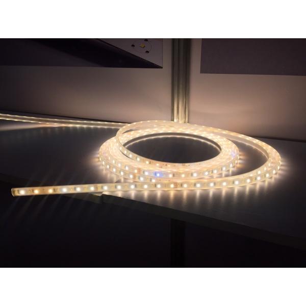 Quality Dimmable SMD Flexible LED Strip Lights Waterproof IP68 For Decoration for sale