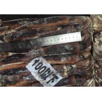 Quality 300g 400g BQF Whole Round A Grade Fresh Frozen Squid for sale