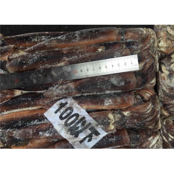 Quality 300g 400g BQF Whole Round A Grade Fresh Frozen Squid for sale