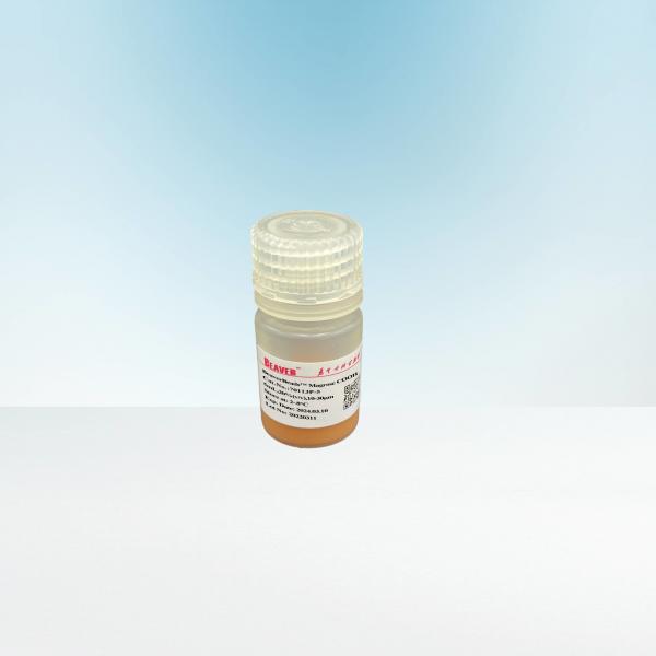 Quality Protein Purification Agarose Carboxyl Magbeads 10 - 30 μM 20% Volume Ratio for sale