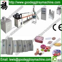 China EPE Foam Fruit Net Extruder (FCEPEW-70 ) factory