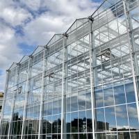 Quality Multispan Metal Frame Venlo Glass Greenhouse With High Durability for sale