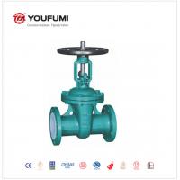 Quality Anticorrosion PFA Lined Flange Type Gate Valve 10 Inch 150LBS Petrochemical Use for sale