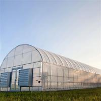 China Plastic Film Tunnel Greenhouse Kit Width 6m 8m 9m For Growing Vegetables Flowers Fruits factory
