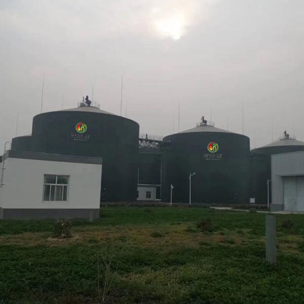 Quality N2O Gobar Gas Balloon Biogas Plant Project Anaerobic Digestion Tank for sale