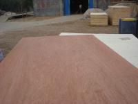 China poplar Commercial plywood factory