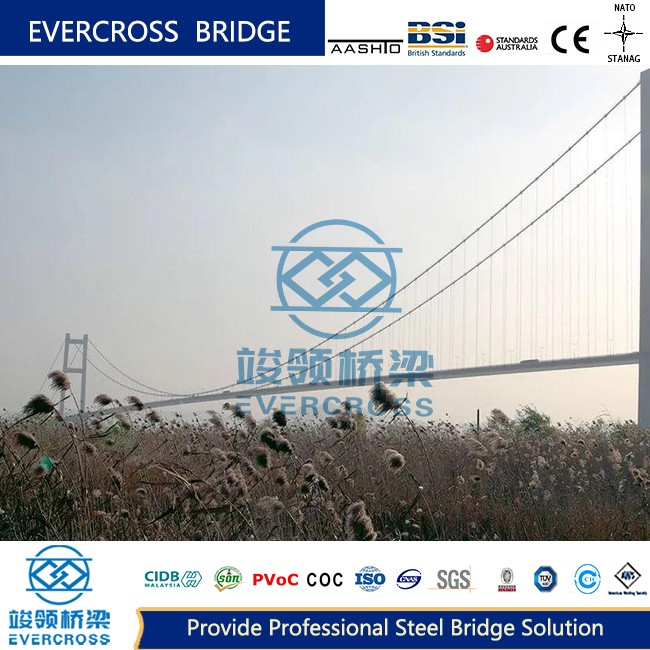 China Flexible And Durable Steel Wire Suspension Bridge Custom Traffic For High Load factory