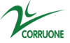 China Shandong Corruone New Material Co., Ltd. logo
