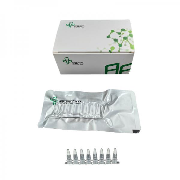 Quality Lyophilized High Sensitivity RNA Amplification Kit Fast Accurate Results for sale
