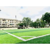 China 65mm Cesped Artificial Grass Football Turf Synthet Turf Soccer Synthetic Carpet Grass factory