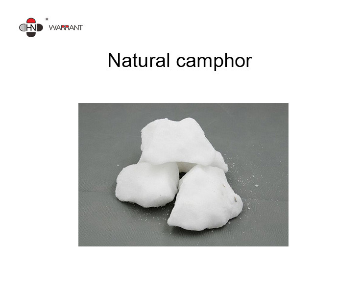 China Insect Repellent CAS 464 49 3 Pure Camphor Oil factory