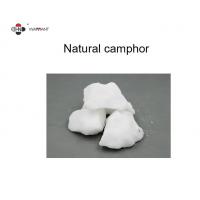 China Insect Repellent CAS 464 49 3 Pure Camphor Oil factory