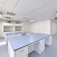 China Pharmaceutical Chemistry Laboratory Table Phenolic Resin Top School Lab Furniture factory