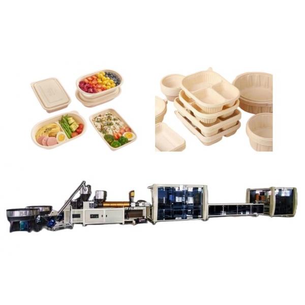 Quality Container Plastic Food Container Manufacturing Machine Takeaway Packaging 55kw for sale