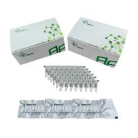 china Easy Operate Stable Isothermal Amplification Kit No Expensive PCR Apparatus