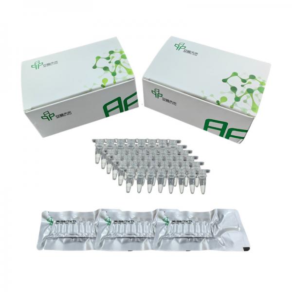 Quality Easy Operate Stable Isothermal Amplification Kit No Expensive PCR Apparatus for sale