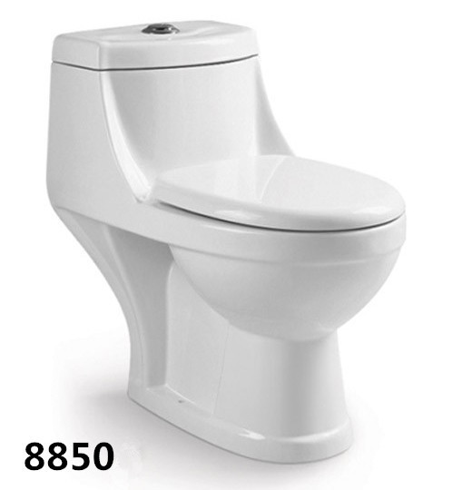China India and Mid-east Style Toilet Bathroom White and Ivory Ceramic Washdown One-piece Toilet factory