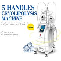 China 5 Handles Cryolipolysis Fat Freezing Machine Body Sculpting Machine For Fat Reduction factory