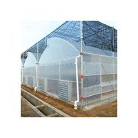 Quality Economical Agricultural Sawtooth Type Plastic Film Greenhouse Length 32m-80m for sale
