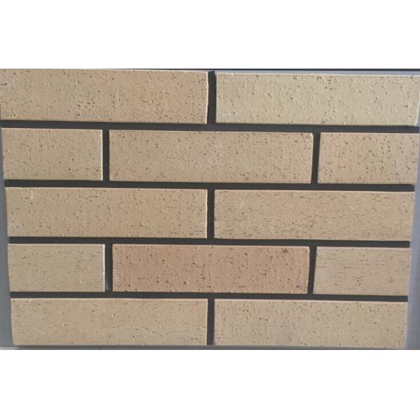 Quality Solid Wire Cut Outdoor Brick Paneling , Brick Veneer Panels Exterior 12mm Thickness for sale