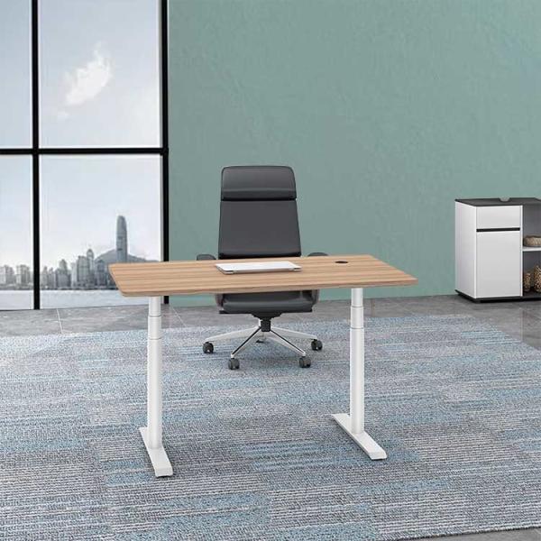 Quality Automatic Lifting Office Height Adjustable Desk Wooden Electric Standing Lift for sale