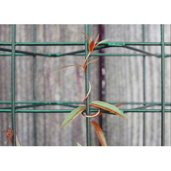 Quality ISO9001 SS304 SS201 Plastic Coated Wire Mesh Panels For Support Of Plants for sale