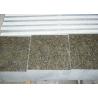 China 24 X 24 Labrador Green Granite Natural Stone Tile Backsplash For Kitchen factory