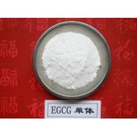 China 100% Natural Green Tea Extract Polyphenols and EGCG 98% powder factory