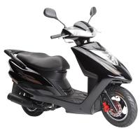 China 125CC Gas Motor Scooter , Gas Powered Mopeds For Adults Disk / Drum Brake factory