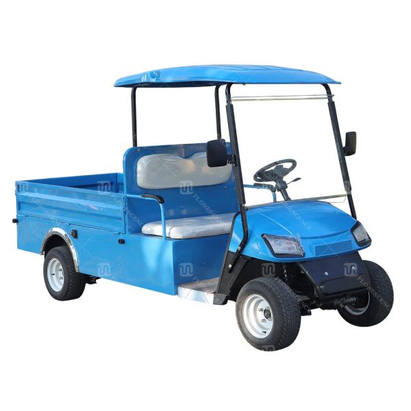 Quality 2 Seater Electric Carryall Golf Cart Heavy Duty ODM for sale