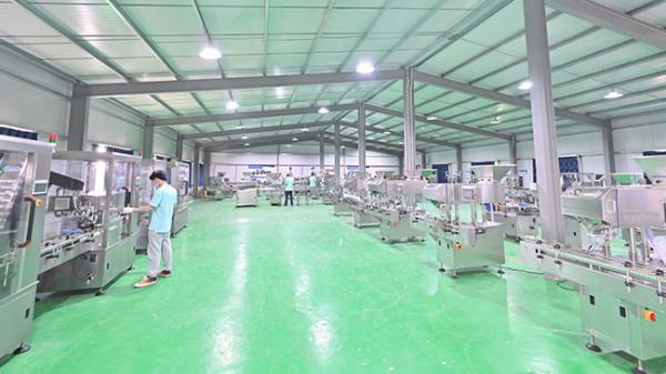 China Guangdong Rich Packing Machinery Co., Ltd. manufacturer